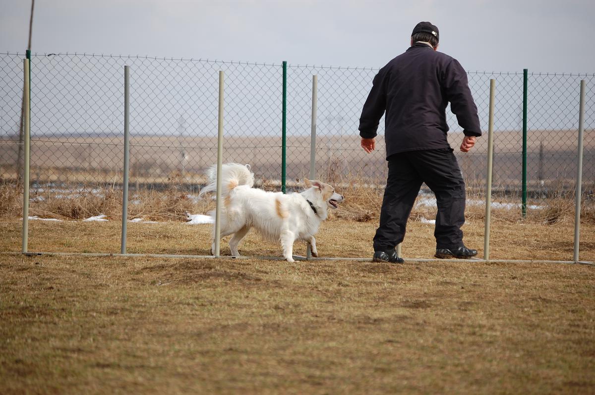 DSC_0196.jpg